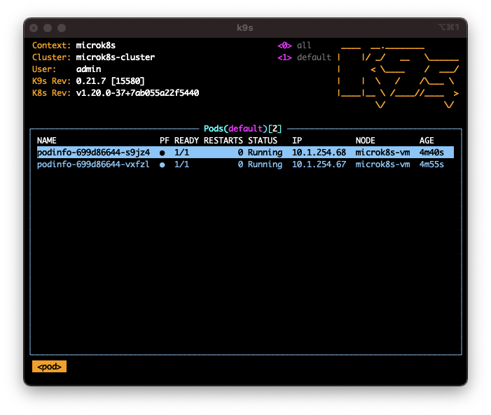 k9s with pods listed screenshot